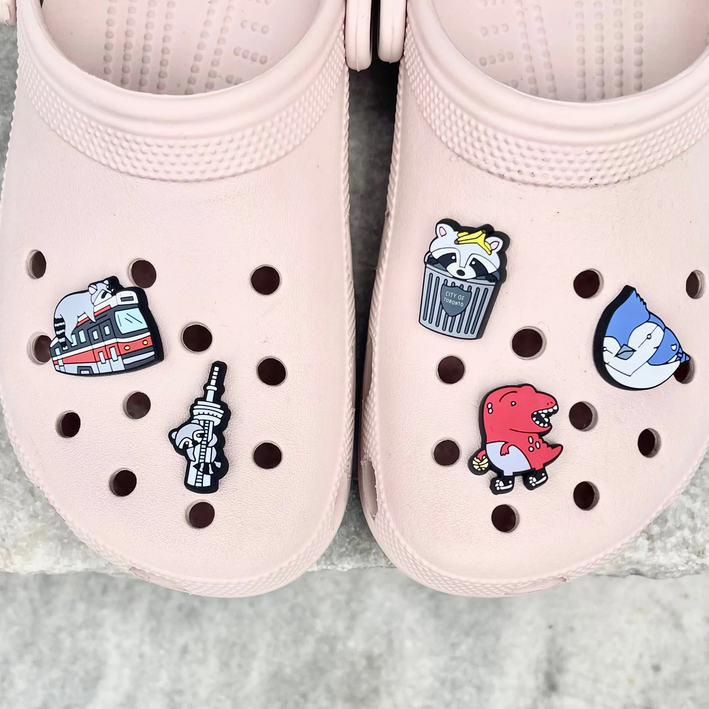 Streetcar Raccoon Shoe Charm